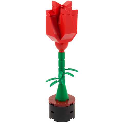 Flowers - Rose