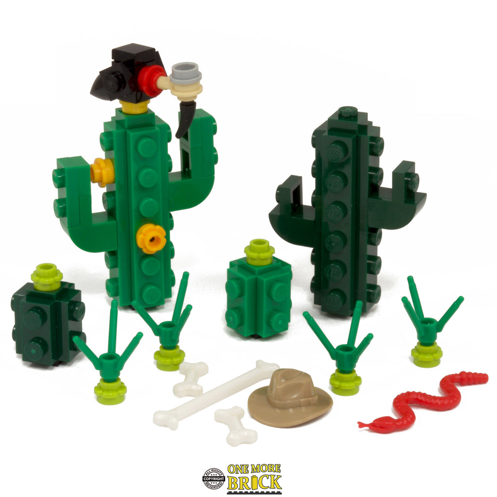 Cactus Desert Plants Inc Vulture, Bones, Snake & Cowboy Hat