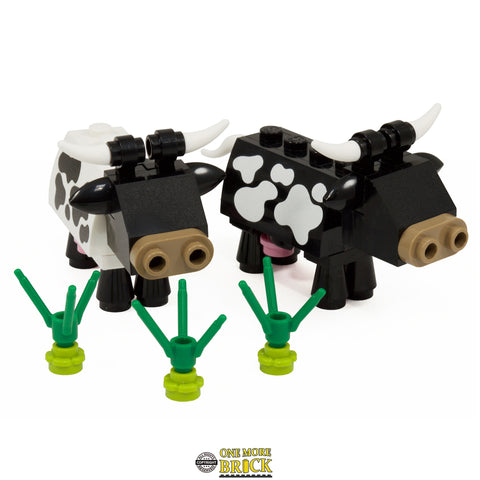 Cows | Black and white cows