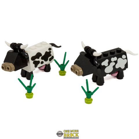 Cows | Black and white cows