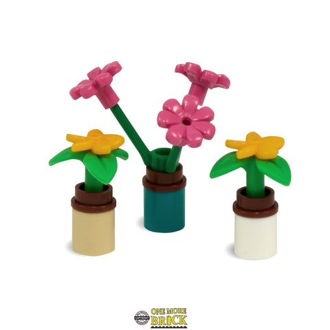 Pot Plants - Pack of 3