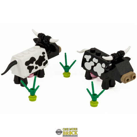 Cows | Black and white cows